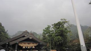 テレビで見る大しめ縄はこちら