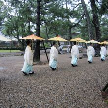 松の馬場を歩く神主たち