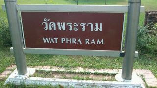 周りには象がいます！