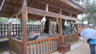 子宝、学力アップに御利益のある神様の乗り物