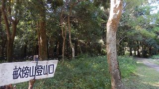 　畝傍山の登山口は、橿原神宮の敷地の中