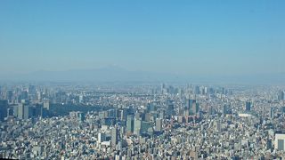 高い～。景色が最高。