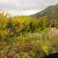 ２階からの眺望　紅葉は少しだけでした