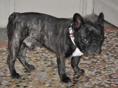 シャトー ドゥ ラ ウイエール 写真