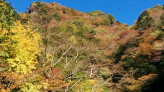 紅葉と滝のコラボが素敵！