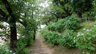 城の痕跡は、ほぼありません。