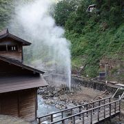 地獄谷野猿公苑の手前、地獄谷温泉（後楽館）の前。