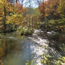 奥入瀬渓流