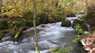 激しく雄々しい眺めは・・・