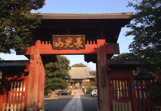 妙蓮寺駅