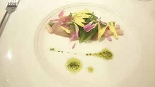 またいきたいです