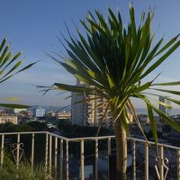 屋上からの眺め