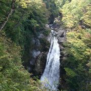 日本三名瀑の一つなんだそうです