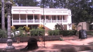 シェフの日替わりメニューが美味！