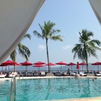 天蓋ベッドから見るプール