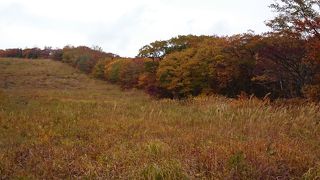 意外な紅葉スポット