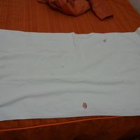 バスタオルが擦り切れていました（￣(∵□∵)￣；）