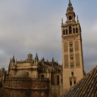 屋上から見たヒラルダの塔