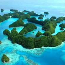 …上空をぐるりと一周してくれるので…、