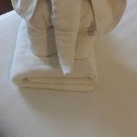 毎日日替わりでタオルでアートを作ってくれます^0^