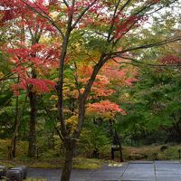 建物周囲も紅葉が楽しめます