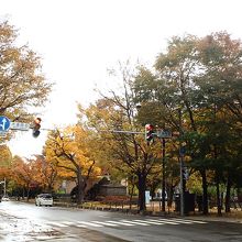 紀念碑の北西側からの眺め