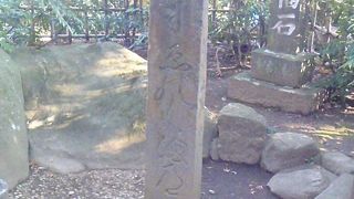 見逃さないように