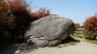 亀のように見える石、かと思ったら亀のように削った石でした。