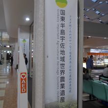 世界農業遺産の指定ののぼり