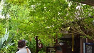 悪縁を切りたい！！