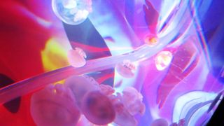 心のイライラ、取り除けるかも～蜷川実花と海月が織りなす幻想空間～クラゲ万華鏡トンネル～