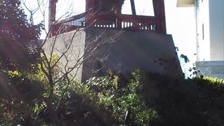 隠れた観光スポット