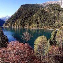 パノラマにして