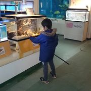 こじんまりした水族館です。