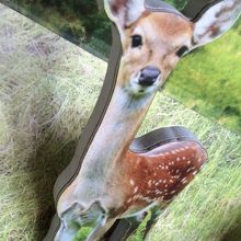 ハリボテに笑いました