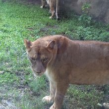 めっちゃ見てました