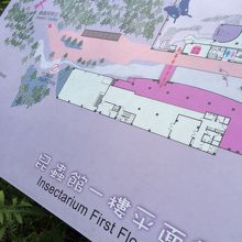 昆虫好きにはたまらない！