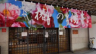 本館とは異なる風情あり