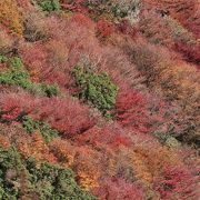 紅葉が絶景かな～。