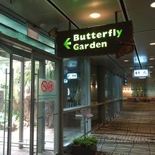 ターミナル３にあるバタフライガーデン
