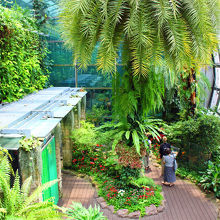 ここだけ屋外なので暑いです^^;