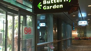 きれいで広い！