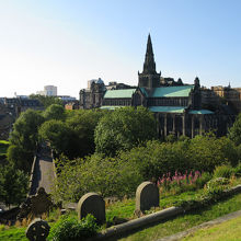 大聖堂の全景を見下ろすこともできます