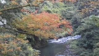 怖いがなまった？