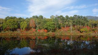 志賀高原の紅葉スポットの一つ。