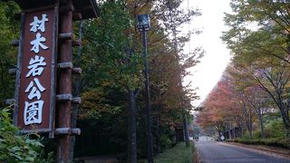 見どころが実は結構あります