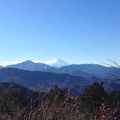 登山の練習にぴったり