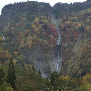 季節によっては見ることが出来ないそうですが、この時は見えました。落差は「称名滝」を上回ります。