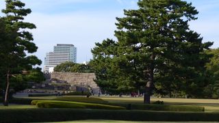 本丸近くの芝生は日向ぼっこに最高