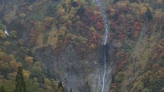 季節によっては見ることが出来ないそうですが、この時は見えました。落差は「称名滝」を上回ります。